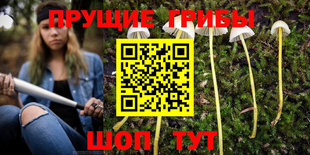 Новокуйбышевск  Псилоцибиновые грибы мухоморы  Вход с VPN  наркота  Псилоцибиновые грибы мицелий 